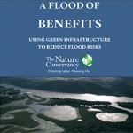 What are two benefits of floods? djvikrant